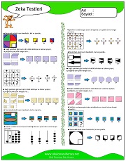 Zeka Gelişim Testleri